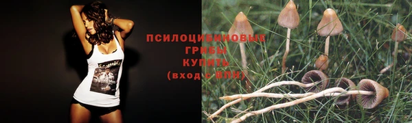 эйфоретик Алзамай