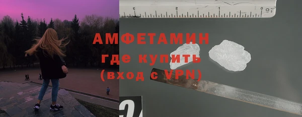 ешки Алексин