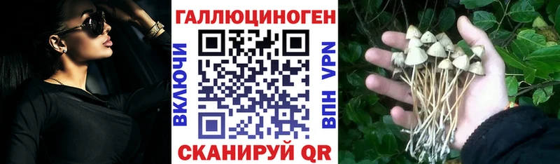 Псилоцибиновые грибы MAGIC MUSHROOMS  Дмитров 